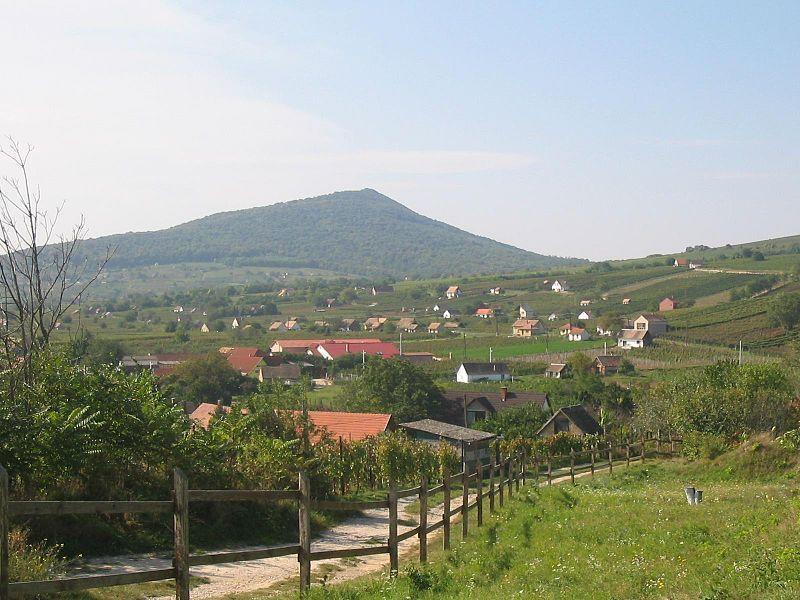 Ottó Panzió Villány Habitación foto